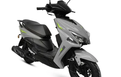 szary półprofil new